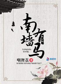 南墙的墙是什么