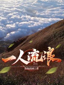 一人流浪在远方 一人流浪在远方