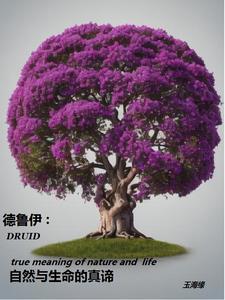德鲁伊是啥意思 德鲁伊是啥意思
