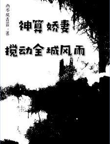 神算师全文免费阅读 神算师全文免费阅读