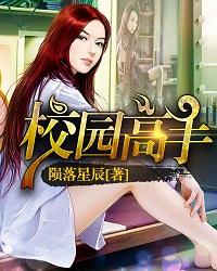 校园高手后续