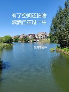 我在七零养崽崽苏灿 我在七零养崽崽苏灿